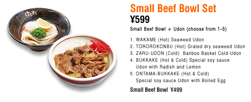 Small Beef Bowl Set