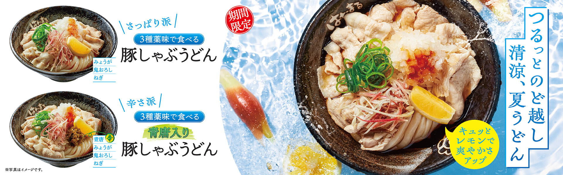 ３種薬味で食べる 豚しゃぶうどん～6月27日（金）から期間限定新発売