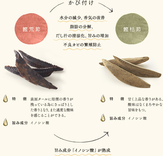 【鰹荒節】特徴:表面タールに焙煙の香りが 残っている為にさっぱりとし た香りとなり、また適度な酸味を感じることができる。 旨み成分:イノシン酸 【鰹枯節】特徴:甘く上品な香りがある。 酸味はなくまろやかな 旨味をもつ。 旨み成分:イノシン酸