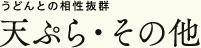 うどんとの相性抜群 天ぷら・その他